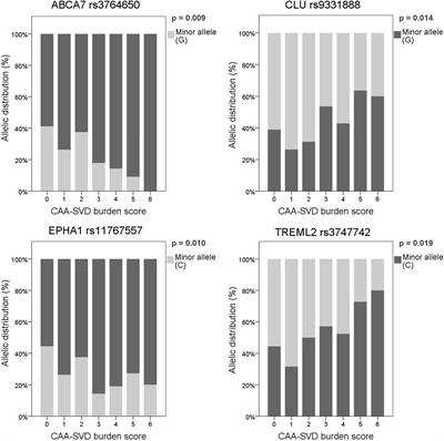 Association of candidate genetic variants and circulating levels of ApoE/ApoJ with common neuroimaging features of cerebral amyloid angiopathy